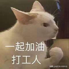 個互聯(lián)網(wǎng)打工人必備網(wǎng)站，熟練掌握起來，升職加薪"