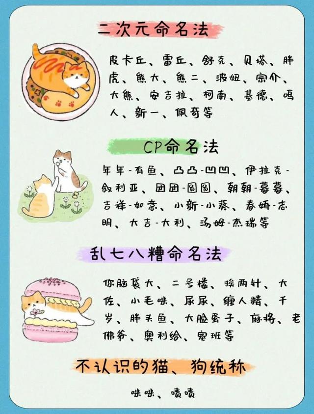 怎么給寵物起名？12種方式好聽(tīng)到不行