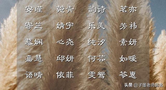 橙檸可人、活潑純潔的女孩名字集錦
