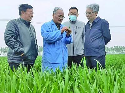 滿字在五行屬什么滿字五行屬什么,有什么