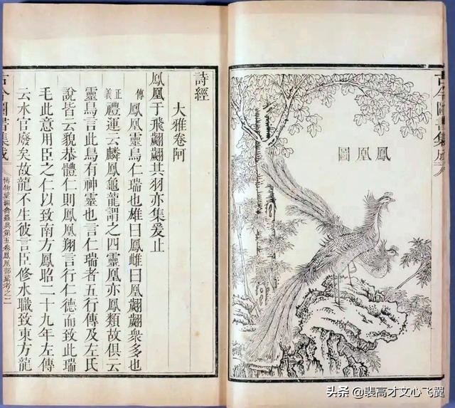 二程書院開學(xué)脈，甘露、望魯并芬芳－裴高才《陳時》選載