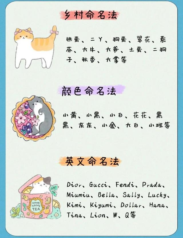 怎么給寵物起名？12種方式好聽(tīng)到不行