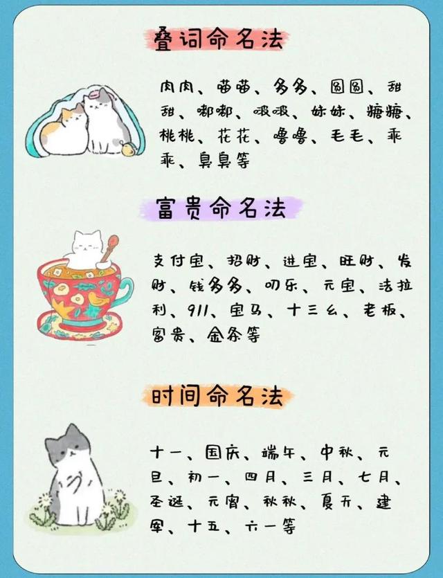 怎么給寵物起名？12種方式好聽(tīng)到不行