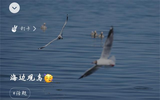 起個微信名字帶來好運女士微信好運的名字女