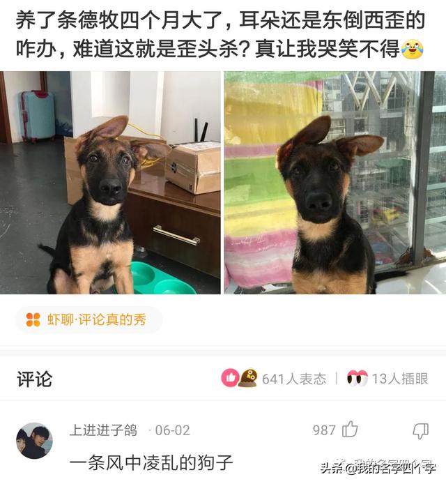 要去日本留學(xué)了，想取個(gè)日本名字，聽起來是日本人實(shí)際卻是中國人