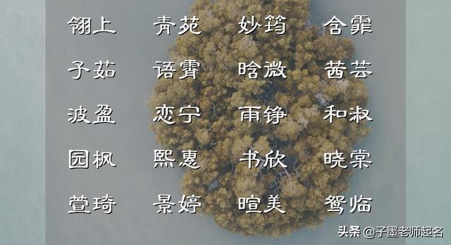 橙檸可人、活潑純潔的女孩名字集錦