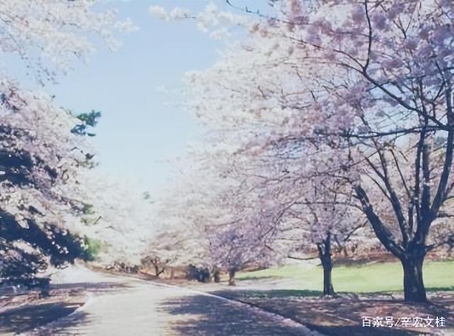 《生查子》男女情愛(ài)第一詞牌