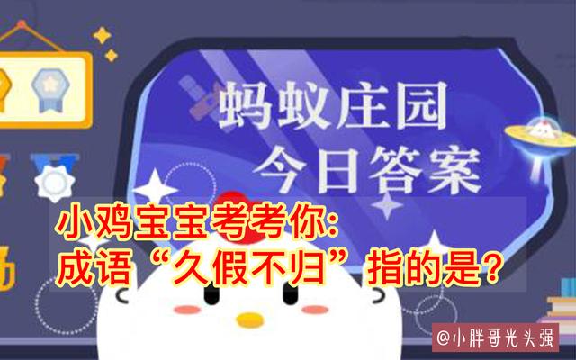 小雞寶寶考考你：成語“久假不歸”指的是什么？螞蟻莊園最新答案