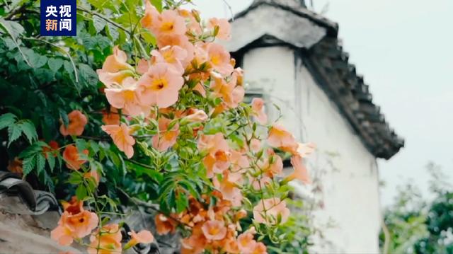 茹字的五行屬性是什么茹字的五行屬性是什么意思