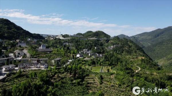 再現(xiàn)“當代愚公”黃大發(fā)事跡！電視劇《高山清渠》在央視黃金強檔首播
