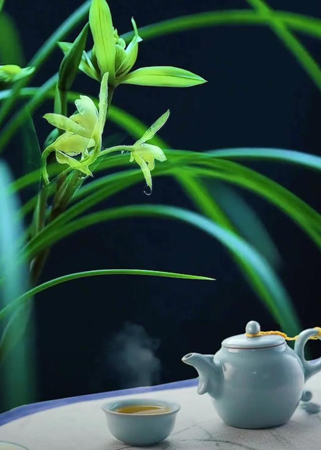 文武之道，一張一弛
