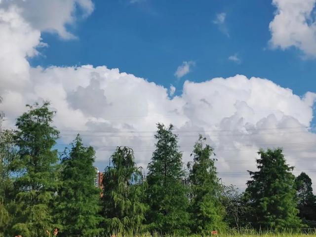 盤點那些晚風(fēng)般溫柔的網(wǎng)名游戲名ID