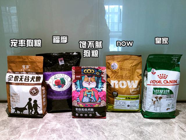 柯基犬有8種“性格屬性”，你家狗屬于哪一種？