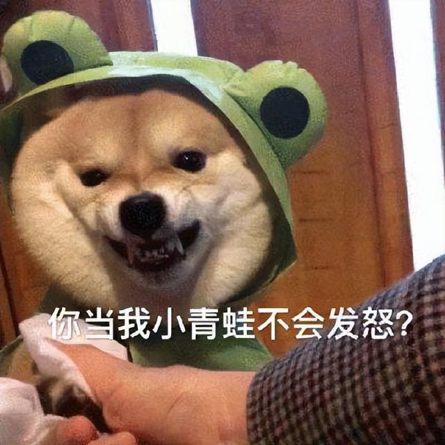論給狗狗“起名”，我們鏟屎官就沒(méi)輸過(guò)