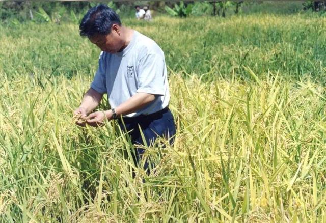 這位福建人的“小小一株草”，何以成為中國驕傲？