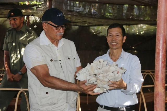 這位福建人的“小小一株草”，何以成為中國驕傲？