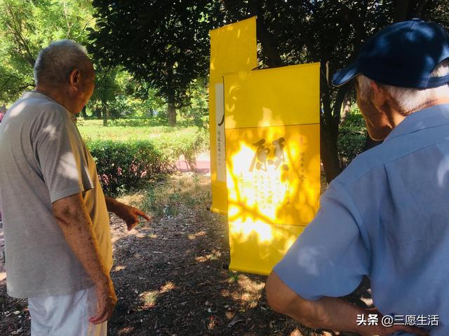鄭飛院內(nèi)龍鳳和美之處，儷睿人“愿”字書幡隨風飄揚，金光耀眼