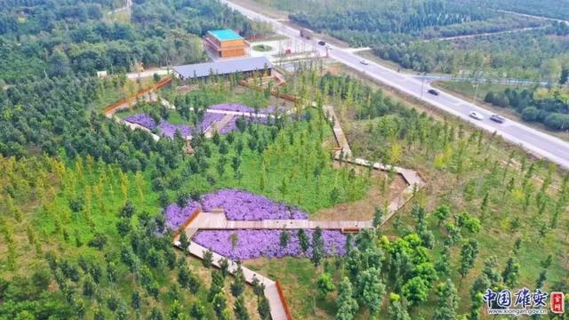 這座未來(lái)的典范城市，“妙”在哪兒？