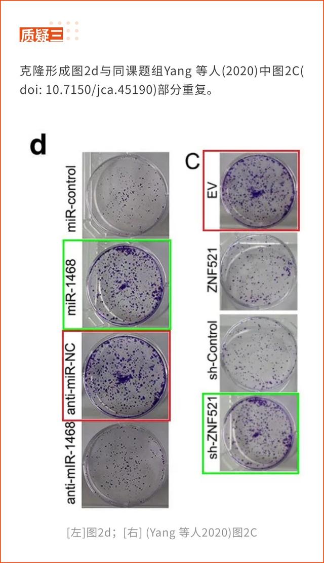 西安交通大學第一附屬醫(yī)院的高分論文因大量圖片重復將撤回