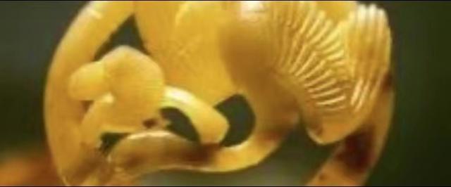 古代玉器鑒定方法知多少？