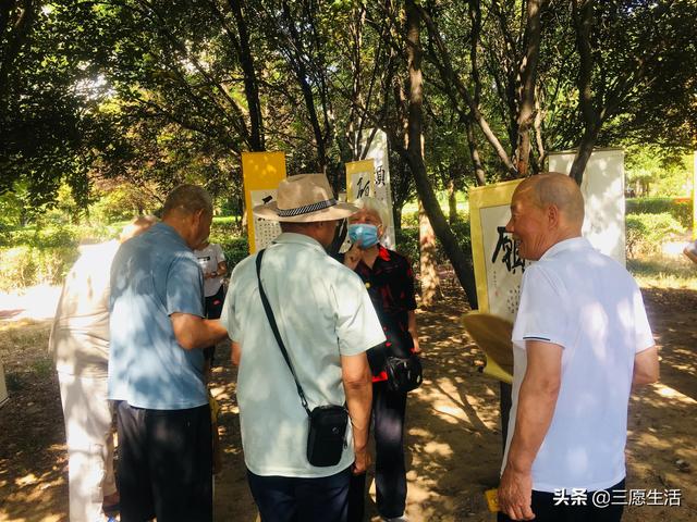 鄭飛院內(nèi)龍鳳和美之處，儷睿人“愿”字書幡隨風飄揚，金光耀眼