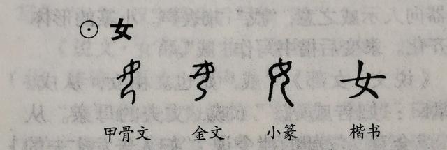 女字的筆畫(huà)順序女字的筆畫(huà)順序怎么寫(xiě)