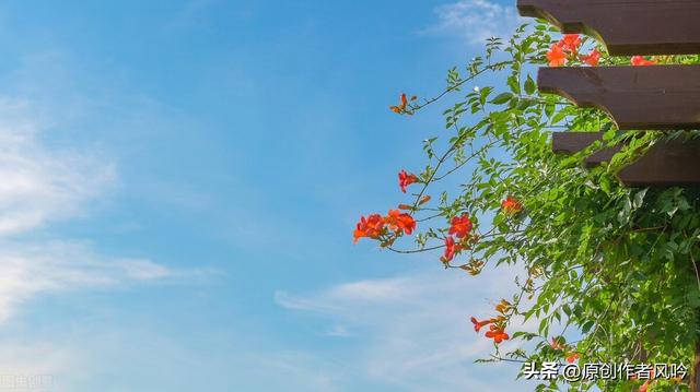 馨字在五行中屬什么的馨這個(gè)字屬于五行屬什么
