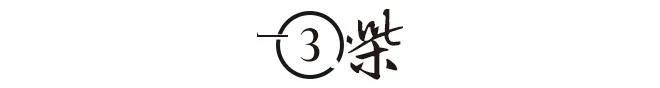 名門痞女洪晃：豪言女人要睡五個男人才夠本，如今已有四次婚姻