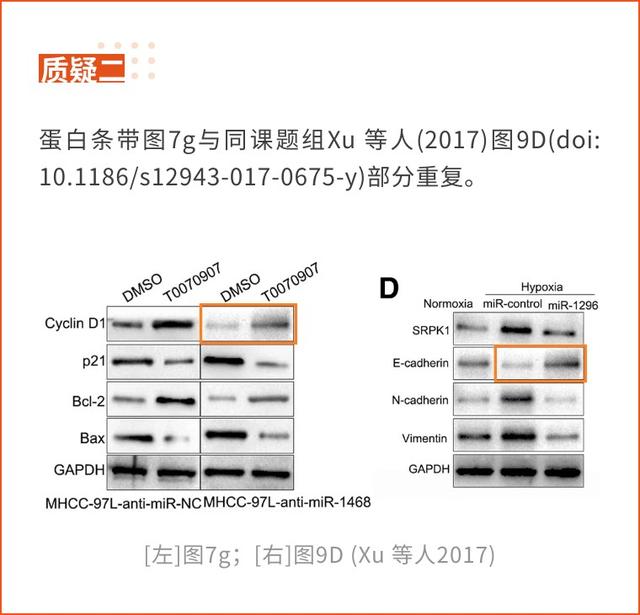 西安交通大學第一附屬醫(yī)院的高分論文因大量圖片重復將撤回