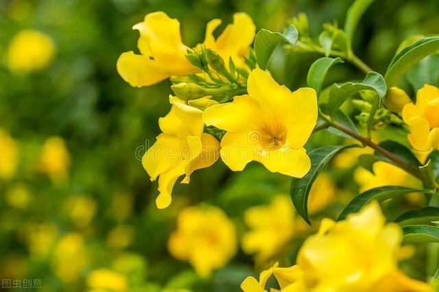 老子《道德經(jīng)》從易經(jīng)吸取到多少奧秘