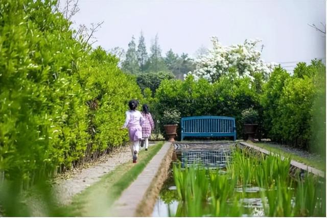 創(chuàng)業(yè)13年搬家13次，打造出3000平方米夢幻花園，這個打工仔憑啥？