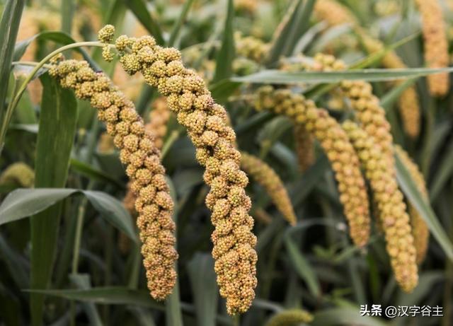 馨字五行屬什么行書馨字屬于五行屬什么行