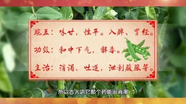 “6月吃豆，賽過肉”！養(yǎng)生多吃豆，健康又長壽