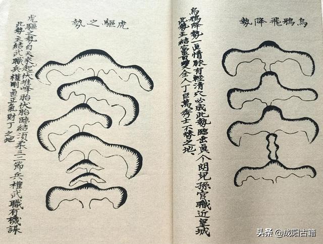 二十四龍入首作穴，九星變體葬法，太極圖說八卦序論等，圖文并茂