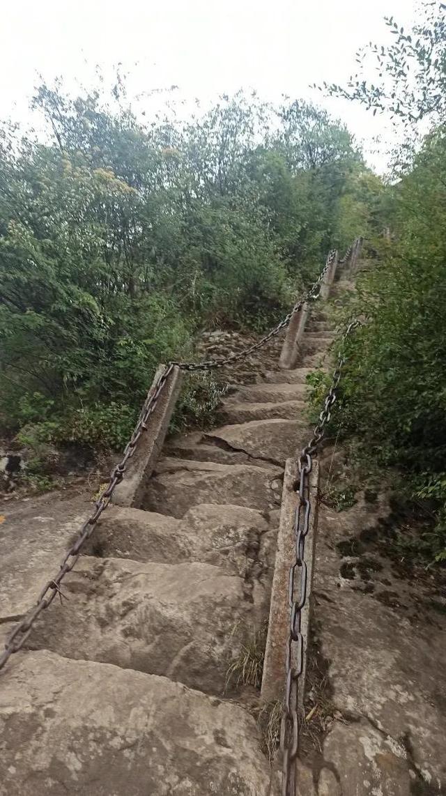 重巒俯渭水 碧嶂插搖天