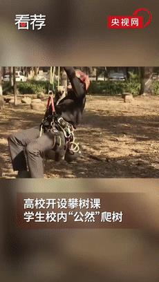這樣的選修課，就是最強招生簡章吧