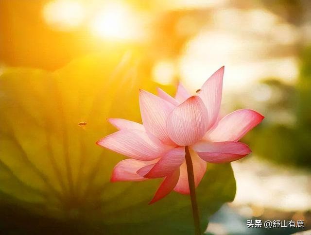 人這一生，到底是富貴命，還是勞碌命，只跟這兩點(diǎn)有關(guān)