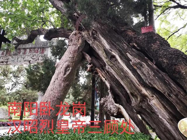 曰"宛"，曰"宛中，隆"，曰"隆中"，曰"南陽"，曰"躬耕于南陽"解密