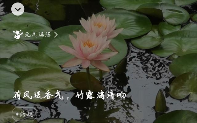 起個微信名字帶來好運女士微信好運的名字女
