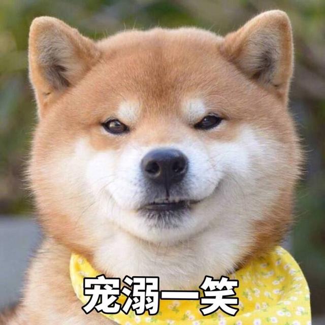 論給狗狗“起名”，我們鏟屎官就沒(méi)輸過(guò)