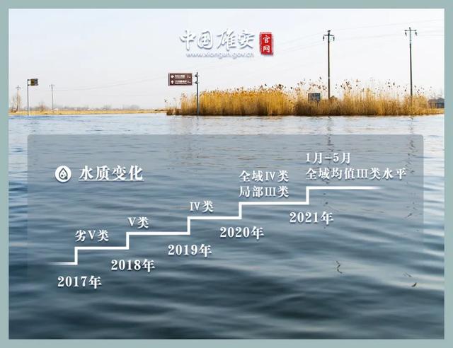 這座未來(lái)的典范城市，“妙”在哪兒？