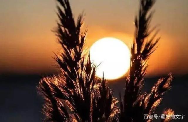 人的命運(yùn)是天注定嗎？