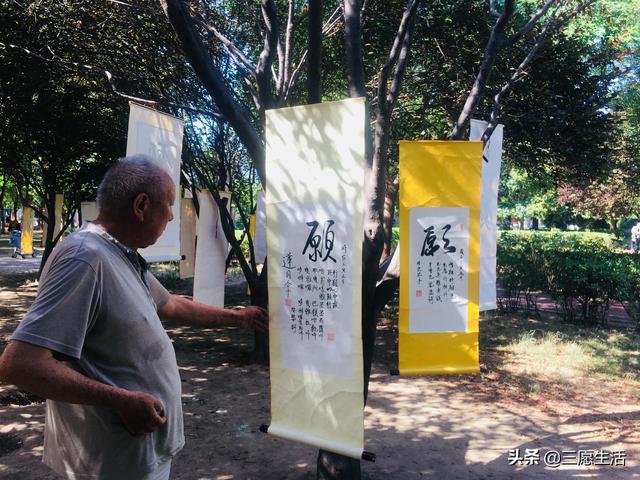 鄭飛院內(nèi)龍鳳和美之處，儷睿人“愿”字書幡隨風飄揚，金光耀眼
