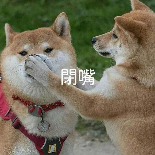 論給狗狗“起名”，我們鏟屎官就沒(méi)輸過(guò)