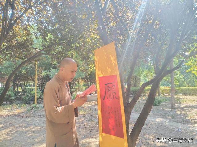 鄭飛院內(nèi)龍鳳和美之處，儷睿人“愿”字書幡隨風飄揚，金光耀眼