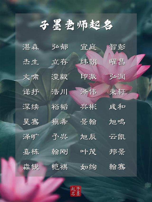 男寶寶起名：人生逆旅，我是行人，佳名相伴，一生平安