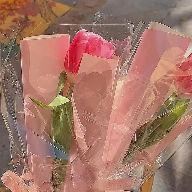 煙花易冷 完結(jié)
