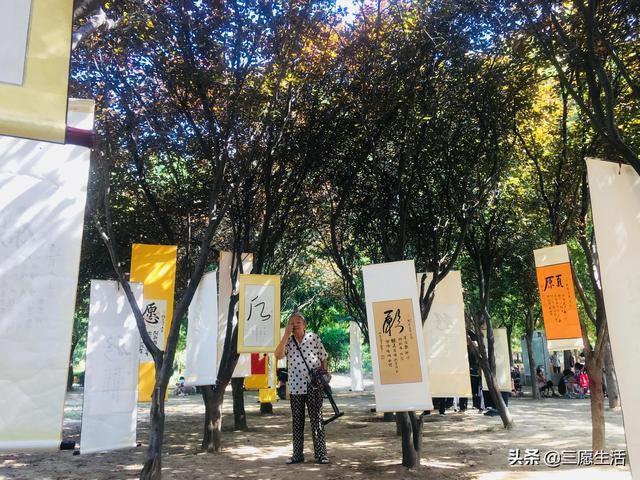 鄭飛院內(nèi)龍鳳和美之處，儷睿人“愿”字書幡隨風飄揚，金光耀眼