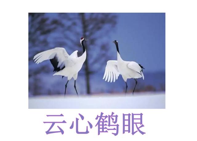 創(chuàng)的成語(yǔ)開(kāi)頭的成語(yǔ)創(chuàng)的成語(yǔ)開(kāi)頭有哪些