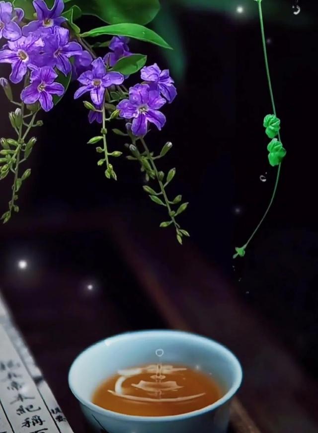 文武之道，一張一弛